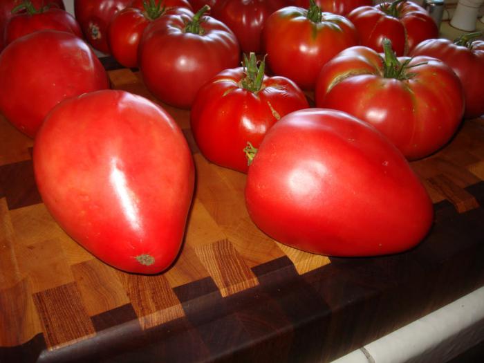 Comentários tomates Мазарини