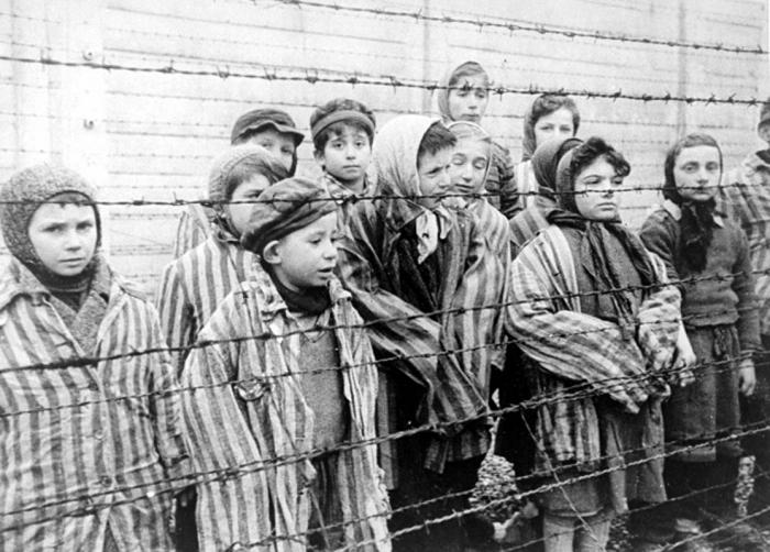 Auschwitz कहानी
