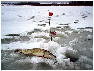 los Secretos de la pesca en жерлицы