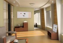 Stil, iç, oturma odası: japonca ve iskandinav