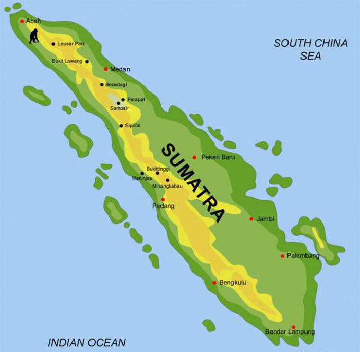 Java and Sumatra