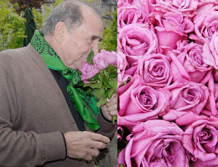 Rosa Grandiflora Claude Брассер