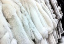 Cómo distinguir una falsificación норковой abrigos de piel - instrucción