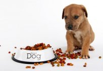 Food for dogs Belcando: useful properties, price, owner reviews