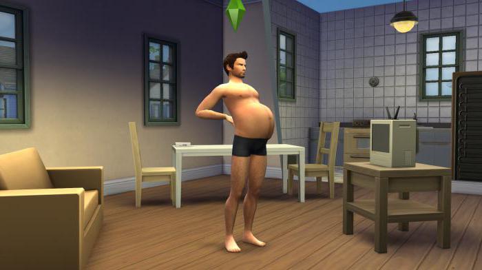 コードの高速妊娠Sims4