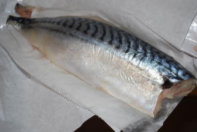 roll of mackerel
