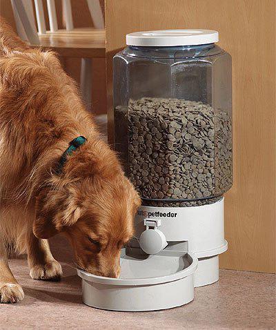automatic feeders for dogs