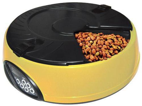 automatic feeder for dogs with his own hands