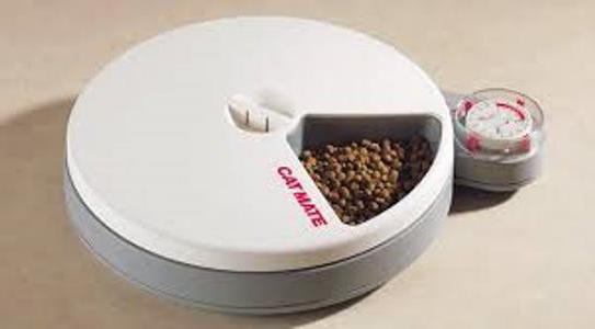 automatic feeders for large dogs