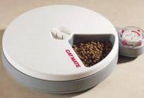 Automatic feeders for dogs: features of design and operation. How to make a feeder with your own hands?