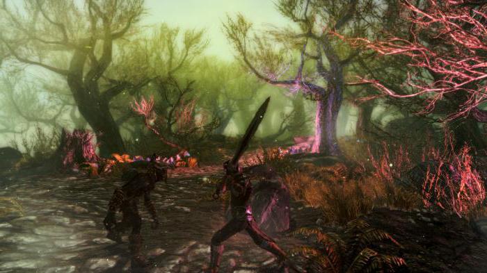 skyrim enderal the shards of order