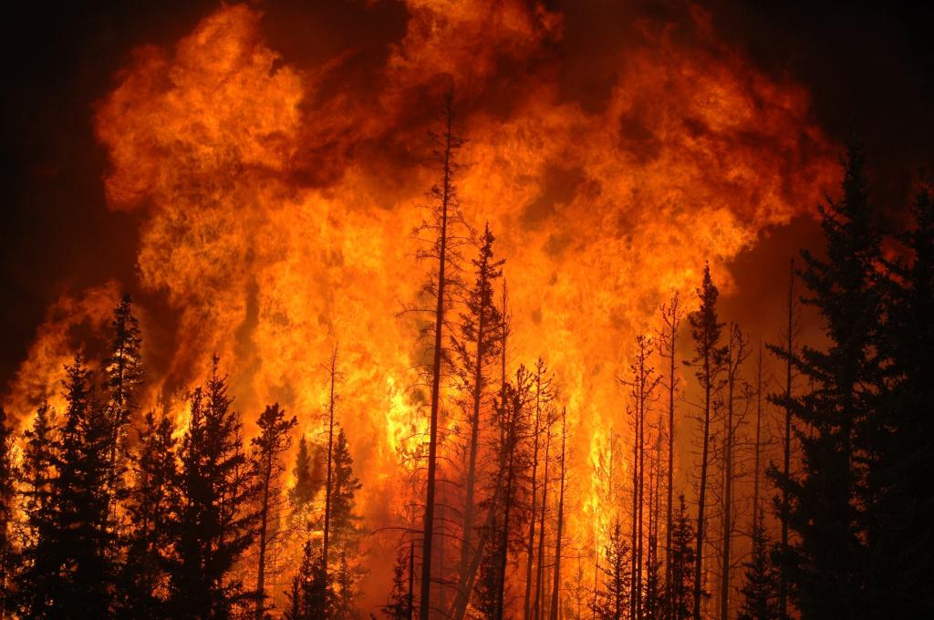 der Wald brennt