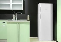 冷蔵庫Vestel:レビュー、マニュアルメーカー