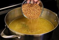 Cómo preparar sopa de buchweizen en el caldo de pollo?