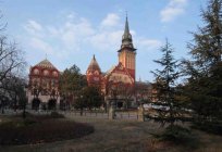 Ein einzigartiges Land Serbien: eine Stadt und Ihre Beschreibung