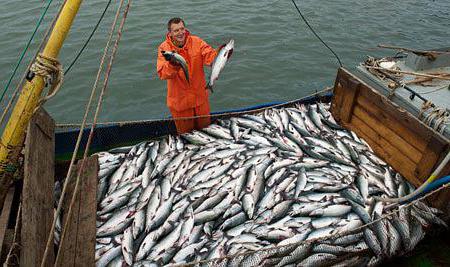 صناعة صيد الأسماك