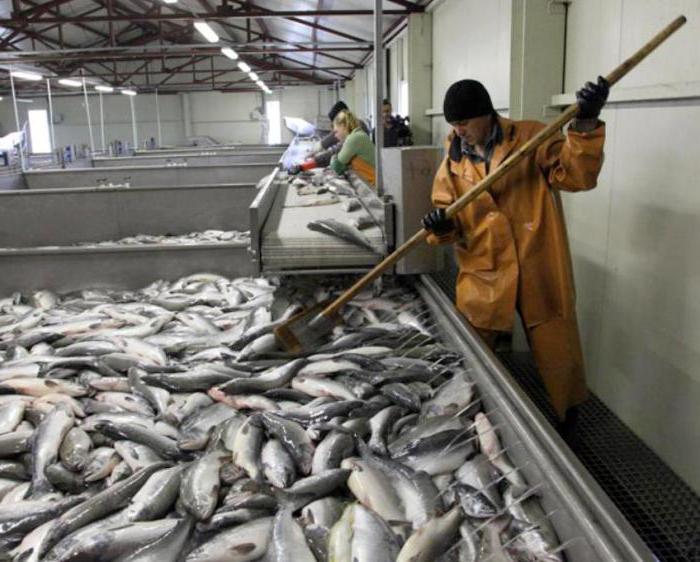 على الثروة السمكية و الحفاظ على الموارد البيولوجية المائية