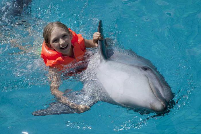 плавання з дельфінами в москві для дітей