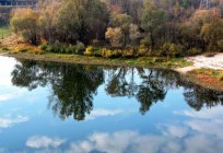 Der Fluss Sozh - einer der schönsten Flüsse der Republik Belarus