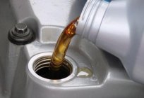 Oil change in the car – for the season or not?