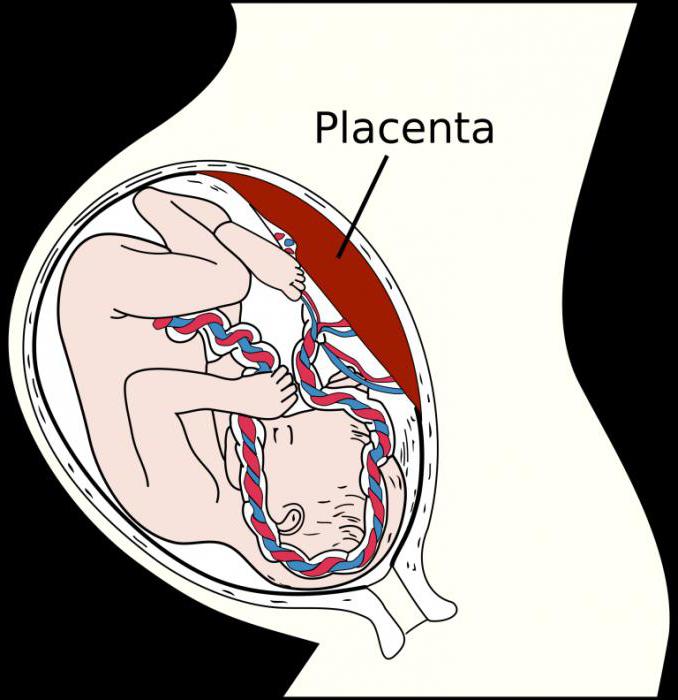 la separación manual de la placenta