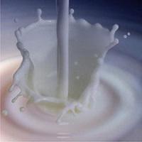 degrease powdered milk
