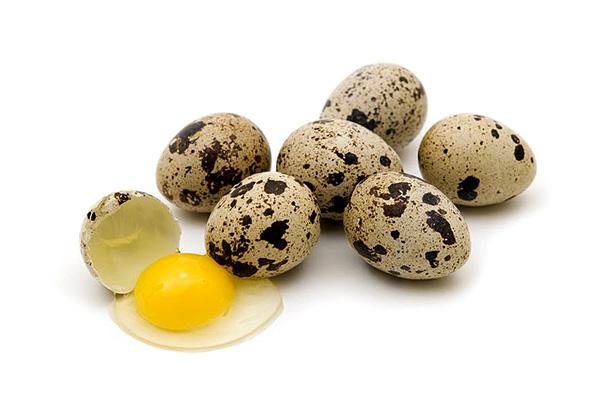 surowe jaja przepiórcze na pusty żołądek
