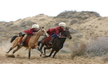 ахалтекинская raça de cavalos de preço
