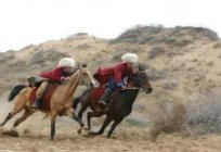 Ахалтекинская raça de cavalo - incomum exterior!
