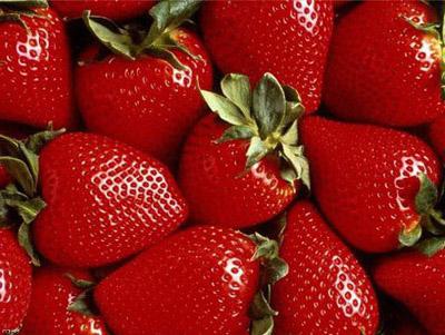 When to plant strawberries