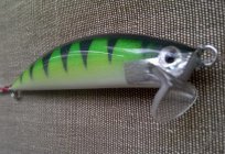 Spinner for trout. The secrets of successful fishing