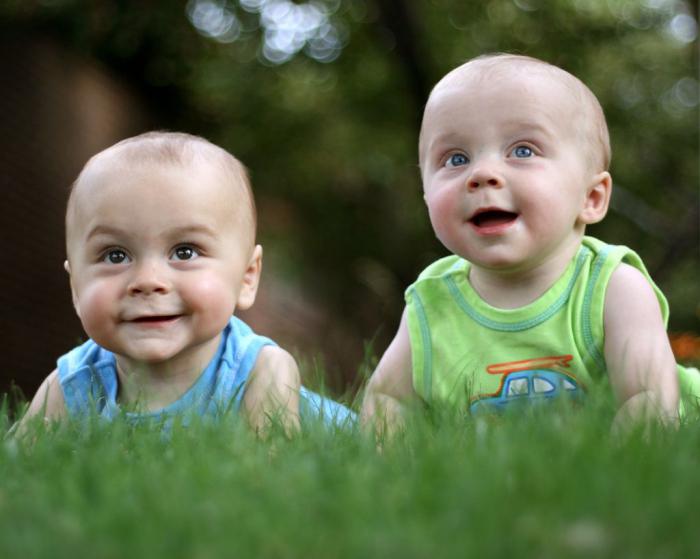मातृत्व पूंजी पर जुड़वा बच्चों के जन्म