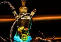The best manufacturers of hookahs: customer reviews. Which hookah is better?