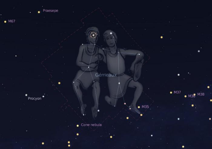 uma constelação de signos do zodíaco