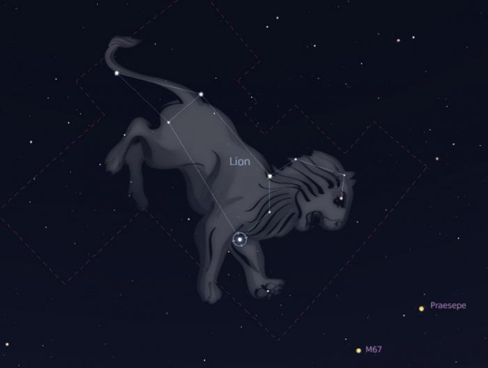 das Zeichen des Tierkreises Sternbild Löwe