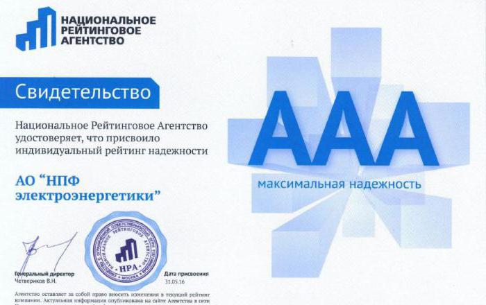 NPF ElectroEnergetiki revocation of license