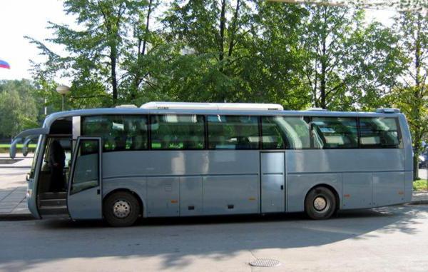 Нічні автобуси в СПб