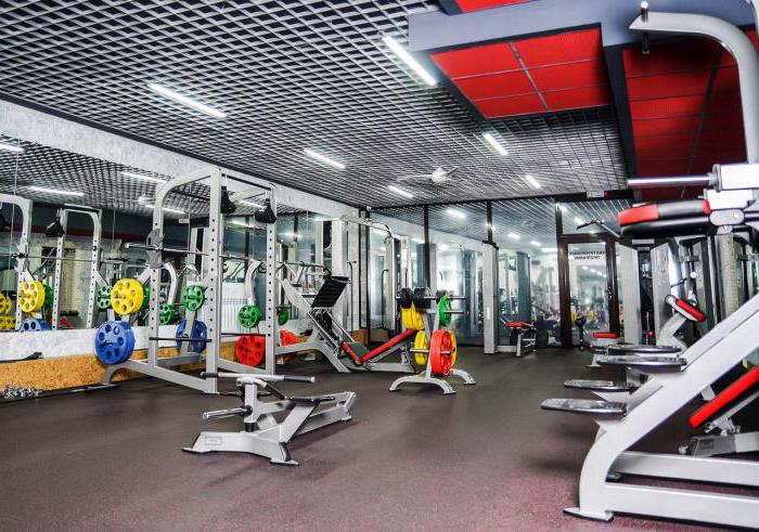 Adam and eve fitness club Omsk