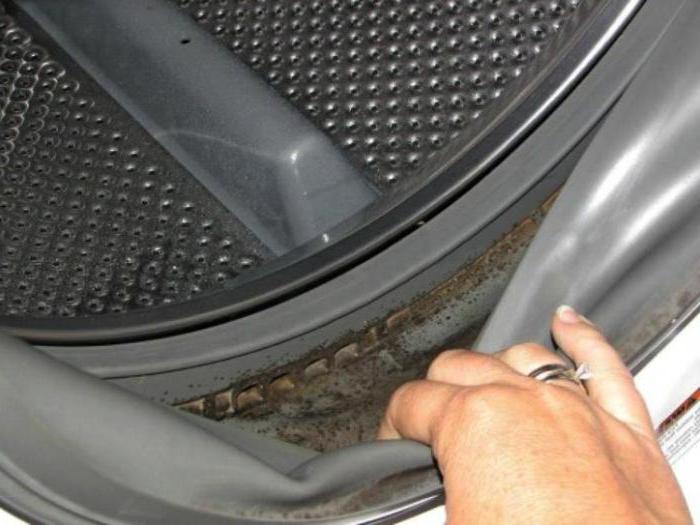 mold in washing machine how to remove the