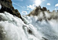 自然景点的瑞士-莱茵瀑布