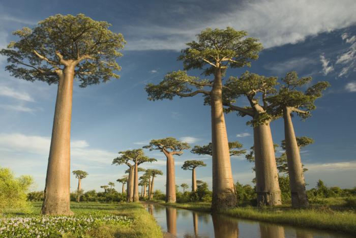 Insel Madagaskar, wo sich das Klima Bevölkerung