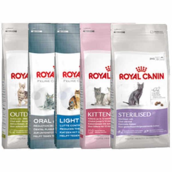 alimento royal canin para gatos