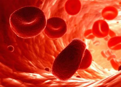 a Expectativa de vida dos glóbulos vermelhos