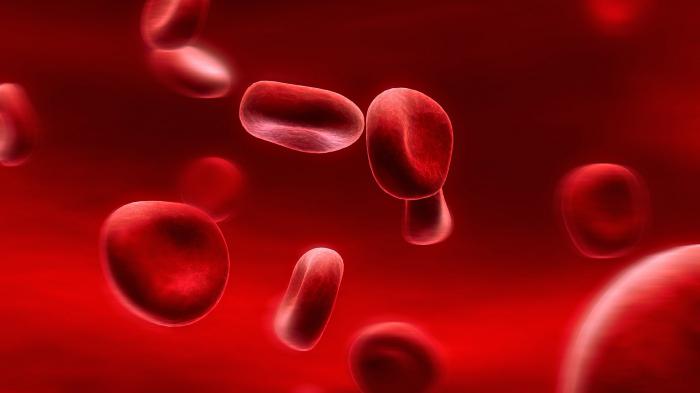 उम्र की लाल रक्त कोशिकाओं में मानव रक्त