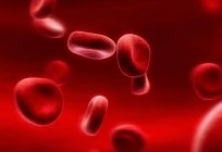 उम्र के लाल रक्त कोशिकाओं के मनुष्यों और पशुओं