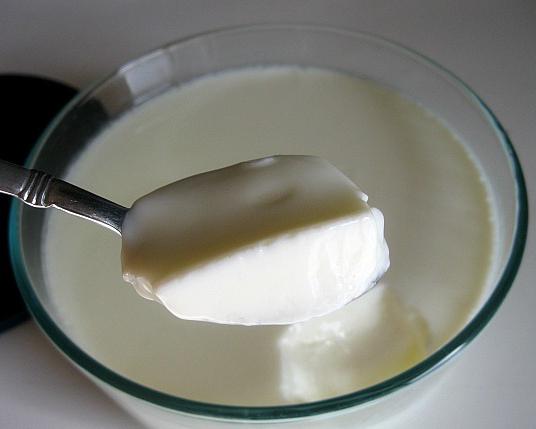 yogurt maker recipes