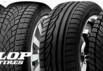 Neumáticos Dunlop Graspic DS3: descripción, características y los clientes