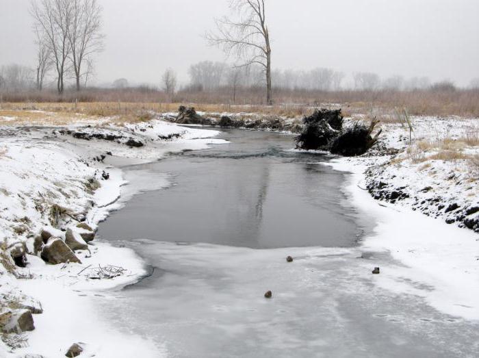 invierno de la pesca en pequeños ríos