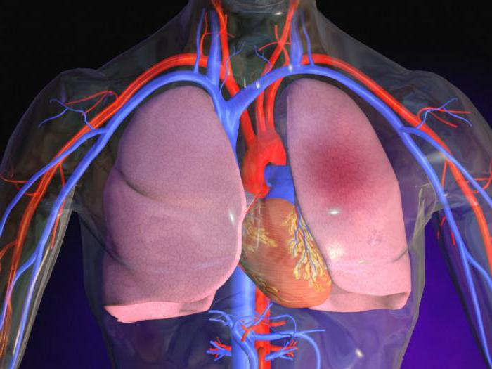 人工心脏按摩和人工呼吸