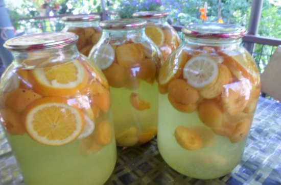 a compote of oranges recipe with photo